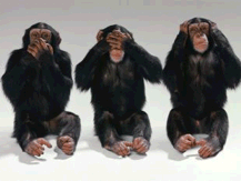 Dique los Monos: más de 161 dudas a 161 días