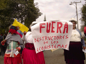 Ecuador: ¡Viva la Marcha por la Vida del 5 de junio 2008!