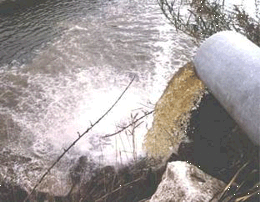 A la cuenca del Río Negro se vuelcan cloacas, desechos industriales y agroquímicos