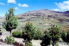 Cerro Quilish