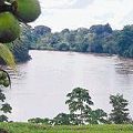 Piden a Ortega frenar eventual contaminación del río San Juan