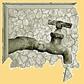 Agua, el dilema de América Latina