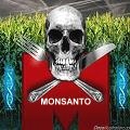 Monsanto invade Malvinas Argentinas