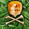 Radiografía a Monsanto: La multinacional contra la salud mundial