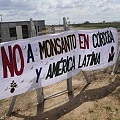 La Justicia frenó construcción de planta de Monsanto