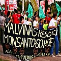 Marcharon contra la planta de Monsanto