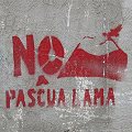 Corte de Apelaciones de Copiapó confirma paralización de proyecto Pascua Lama