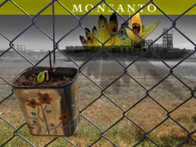 El modelo agroproductivo, en debate por Monsanto