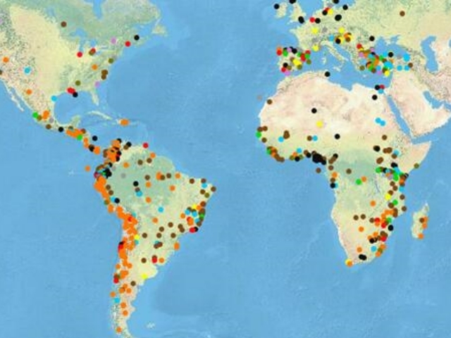 Crean un mapa mundial de conflictos ecológicos