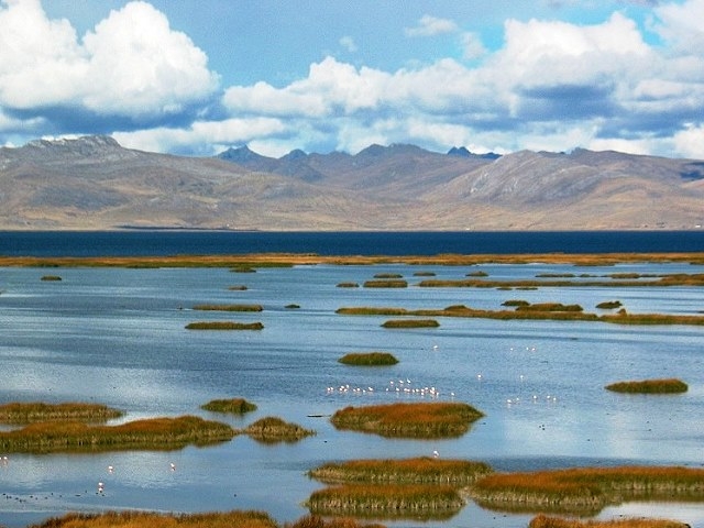 Lago Chinchaycocha contaminado por culpa de mineras