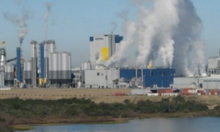 Un informe revela la contaminación de UPM Botnia en el río Uruguay