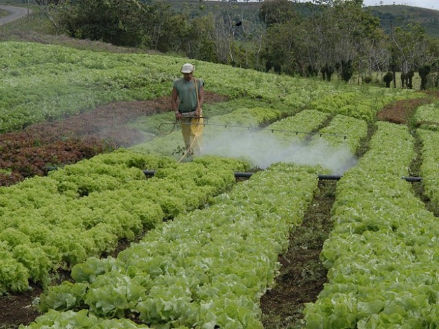 Científicos afirman que los pesticidas ponen en riesgo las reservas de alimentos