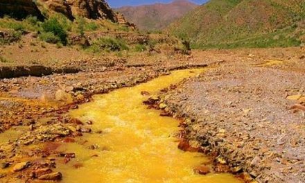 En Chihuahua, mina Dia Bras vertió tóxicos al río Seco