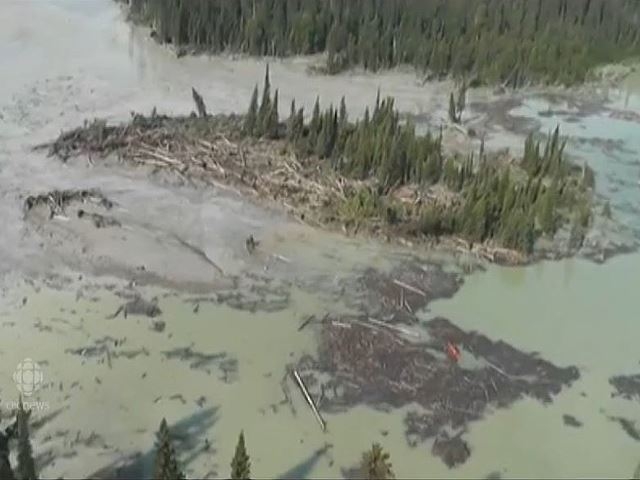 Vertido minero amenaza retorno del salmón rojo a Columbia Británica