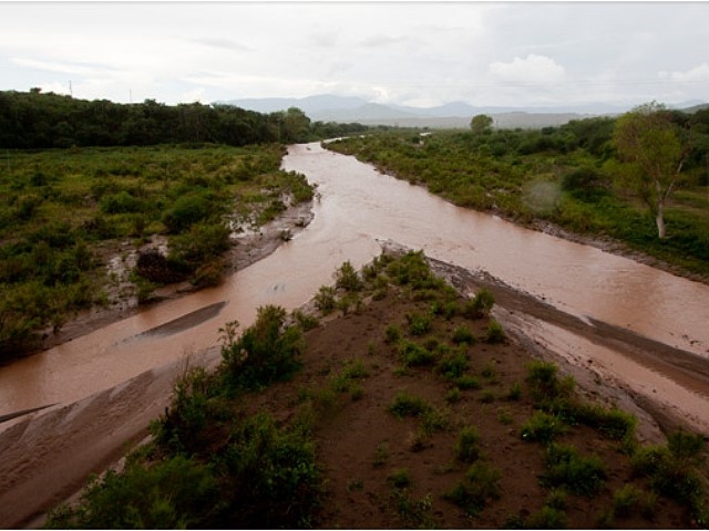 Daños por millones de pesos a causa del derrame tóxico en río Sonora
