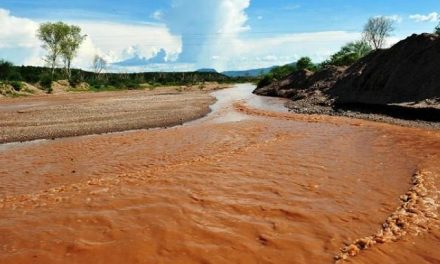 Miner mexicana el «Río Gila», que fluye hacia Phoenix