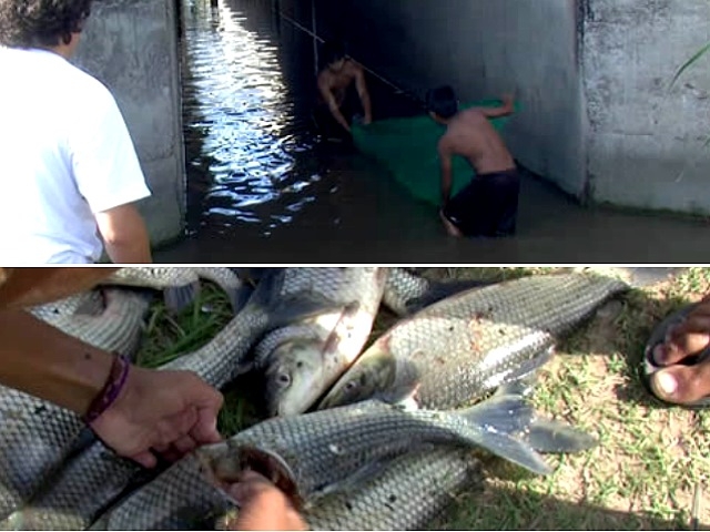 Prueban que personas consumen agua y peces del canal donde Minera Alumbrera arroja sus efluentes