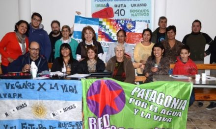 Asamblea Patagónica: «La falta de agua es el síntoma, la enfermedad es el extractivismo»