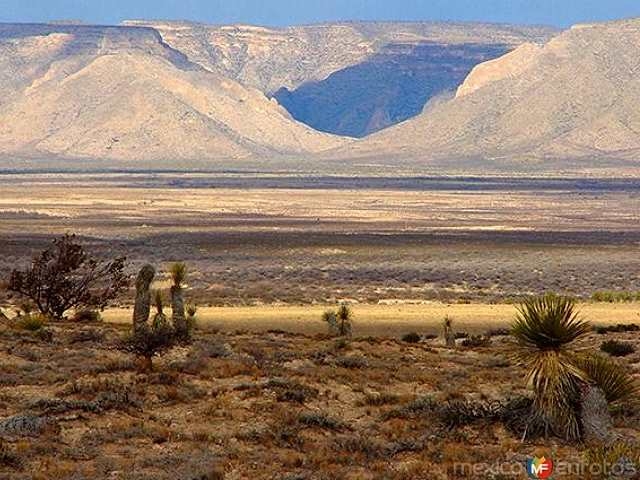 Sacan a Samalayuca de área protegida para otorgarla a la minería