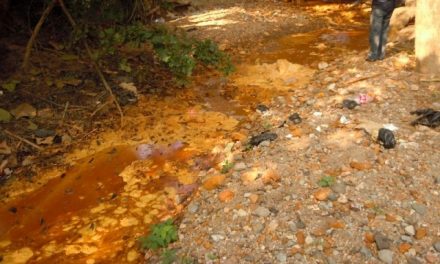 Organizaciones demandarán a minera Commerce Group por contaminación de ríos salvadoreños