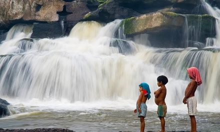 La Corte falla contra minera que quería tumbar el parque nacional amazónico colombiano