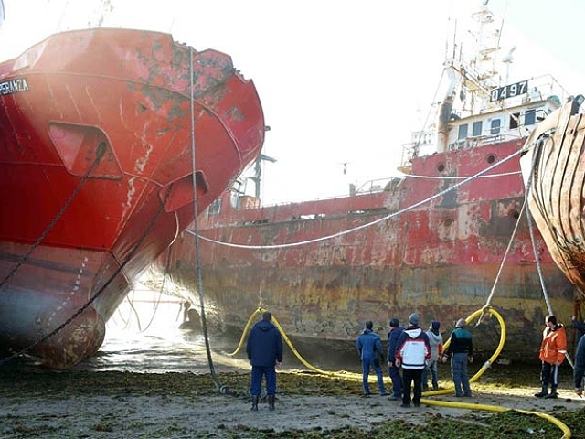 Sin datos oficiales sobre el daño ambiental en Puerto Madryn