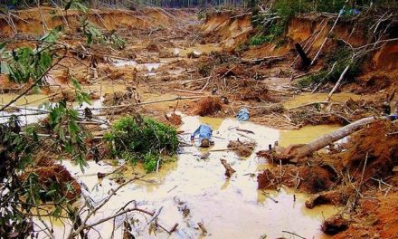 Alarmantes imágenes revelan cómo la minería ilegal de oro consume la Amazonia de Perú