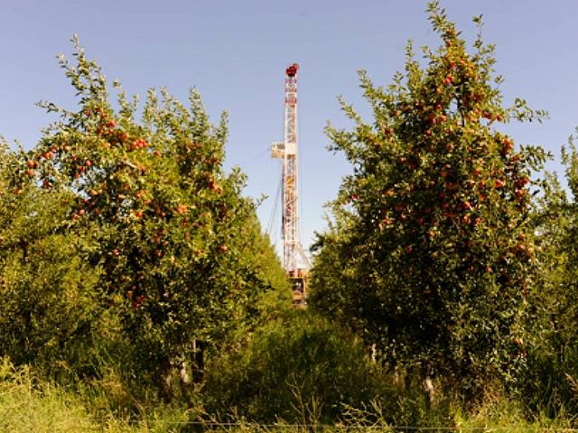 La restricción comercial de fruta orgánica por fracking en Allen y su efecto cascada