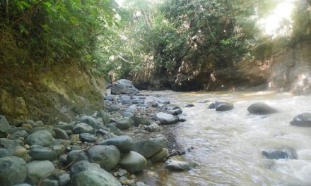 En Jericó un río está contaminado de cianuro por Anglo Gold Ashanti