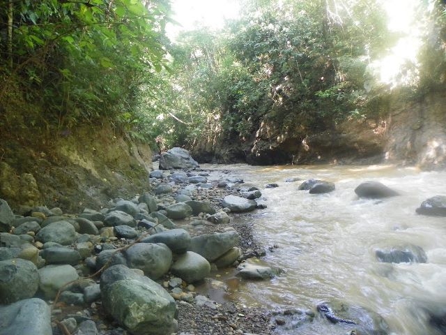 En Jericó un río está contaminado de cianuro por Anglo Gold Ashanti