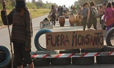 Termina la feria judicial y hay vigilia por orden de desalojo del acampe contra Monsanto