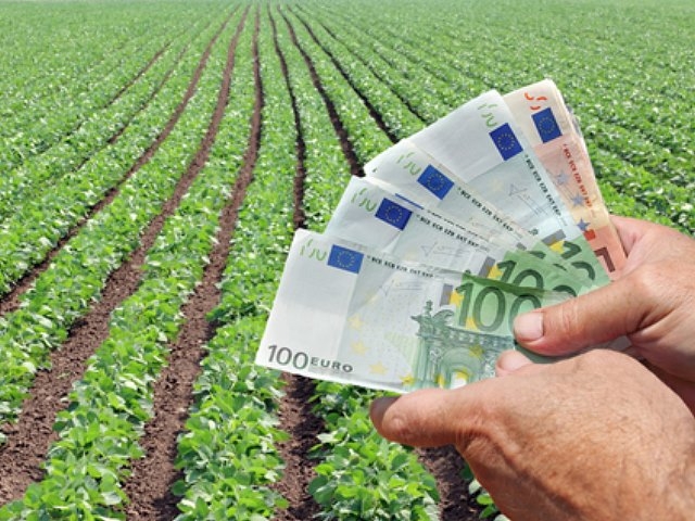 INTA: El modelo de agronegocios atenta contra el sistema agroalimentario