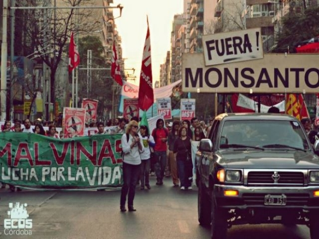 El fiscal no ejecutará la orden de desalojo del acampe contra Monsanto