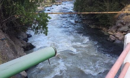 Derrame de concentrado de cobre de Codelco Andina afecta a río Blanco y la Quinta Región