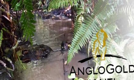 AngloGold Ashanti habría contaminado una quebrada en Antioquia