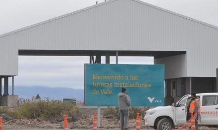 La minera Vale busca retomar su actividad en Mendoza
