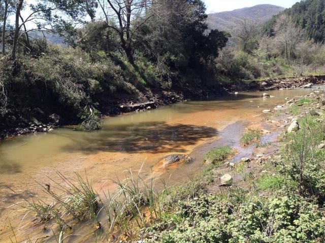 Rebaño de cabras muere al beber agua contaminada de mina de oro en Calcídica