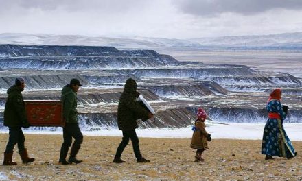 Minería amenaza vida silvestre de Mongolia
