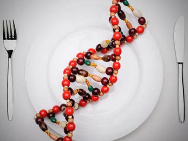 Estudio sostiene que ADN de los transgénicos puede pasar directamente al cuerpo humano