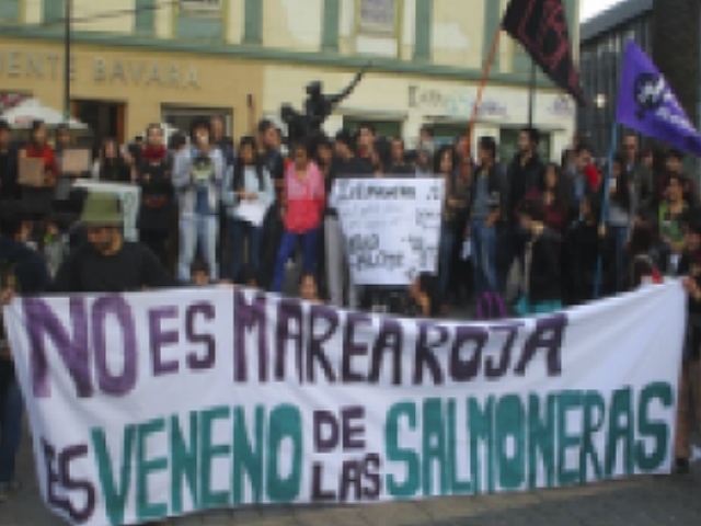De la marea roja a la marea humana o 5 razones del movimiento social de Chiloé