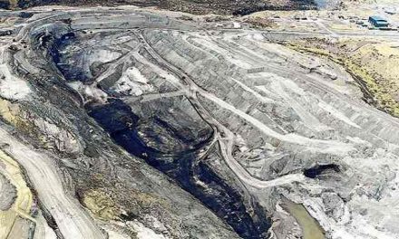 Reconocen falta de recursos estatales para fiscalizar a minera Isla Riesco