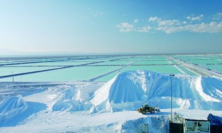 Minera se está llevando el Salar de Atacama a precio de salmuera