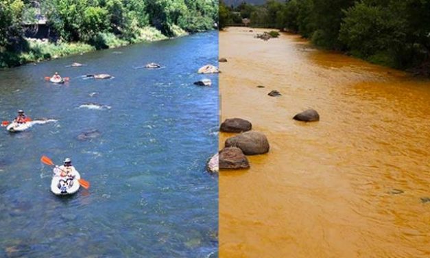 Demanda entre dos estados norteamericanos por derrame de desechos de Mina Gold King