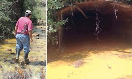 Minera de Grupo México contaminó ríos y obligó a pobladores a desplazarse