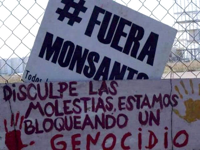 Planta de Malvinas en venta: la vida sin Monsanto