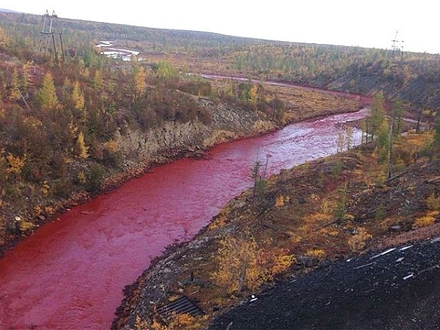 Un río se tiñe de rojo en Rusia por contaminación