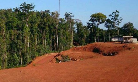 Una mina de oro de Newmont se interna en el bosque de Surinam