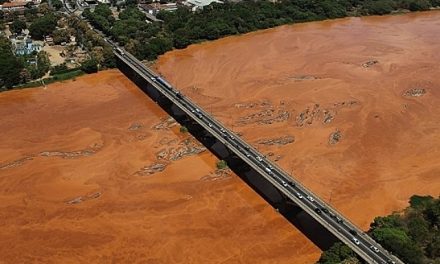 Encuentran miles de peces muertos en la región del desastre minero en Brasil