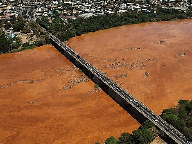 Encuentran miles de peces muertos en la región del desastre minero en Brasil