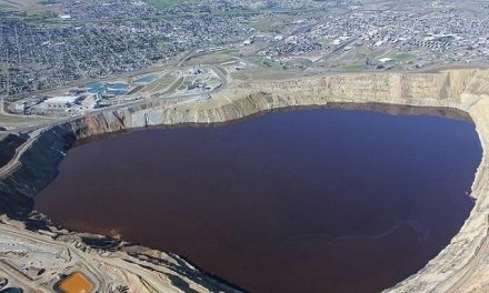 Mueren miles de gansos envenenados en el tajo a cielo abierto de mina con aguas tóxicas en Montana